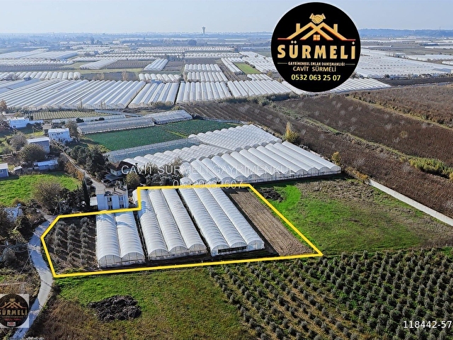 DUMANLAR BAHÇE NİTELİĞİNDE 4300 M2 ARSA VE SERASI SATILIK - Görsel 7