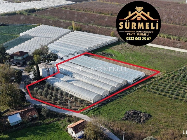 DUMANLAR BAHÇE NİTELİĞİNDE 4300 M2 ARSA VE SERASI SATILIK - Görsel 15