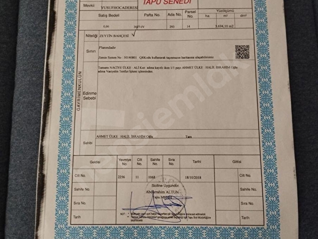 Yenipazar Doğu Mahallesi  Satılık Zeytinlik - Görsel 2