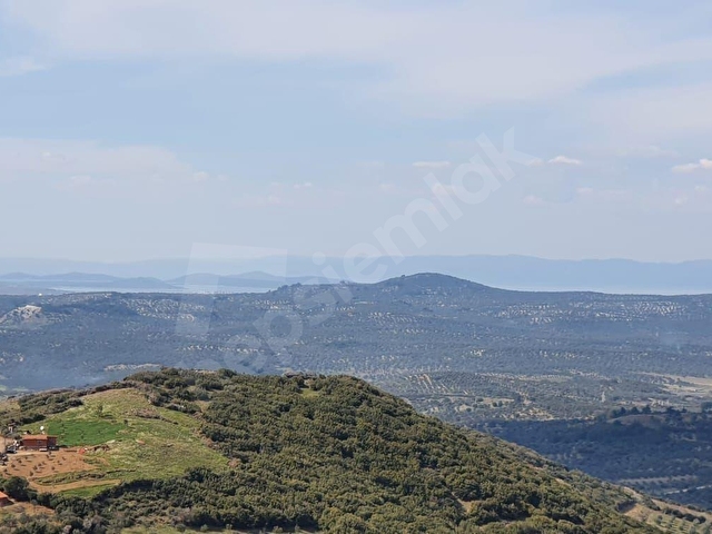 AYVALIK KONAK EMLAKTAN BULUT ÇEŞME MAH.1692M2 SATILIK ARSA DENİZ - Görsel 18