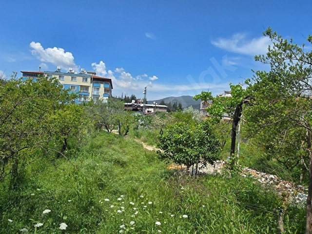 SERİNYOLDA ANA CADDE ÜZERİNDE İŞYERLERİ - Görsel 21