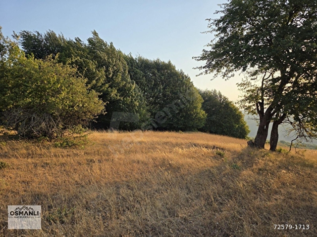4.913 M2 DOĞA MANZARALI, TEMİZ HAVALI, DÜZ VE RESMİ YOLLU ARAZİ - Görsel 14