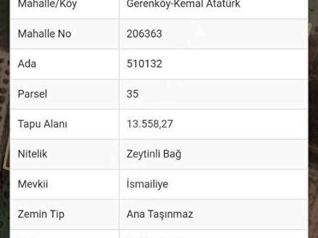 Foça gerenköyde satılık 13.558.27 metre tarla satılık - Görsel 2