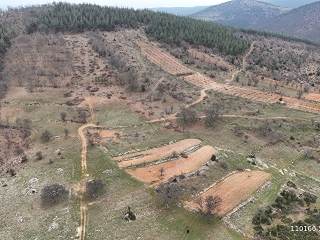 Aydın Karacasu Ören (Yeşilköyde) Satılık 16500 m2 Tarla - Görsel 9