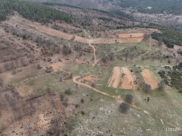 Aydın Karacasu Ören (Yeşilköyde) Satılık 16500 m2 Tarla - Görsel 16