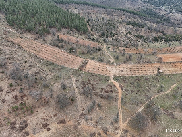 Aydın Karacasu Ören (Yeşilköyde) Satılık 16500 m2 Tarla - Görsel 15