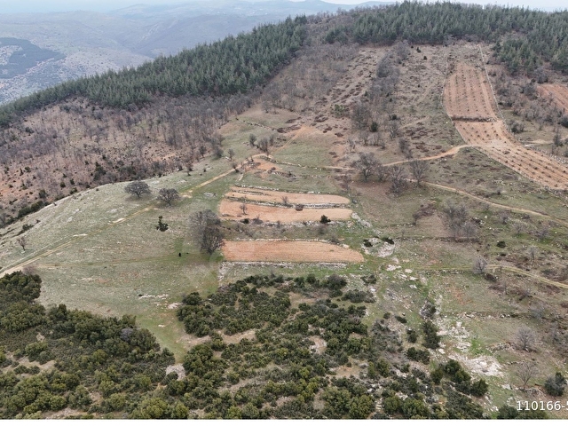 Aydın Karacasu Ören (Yeşilköyde) Satılık 16500 m2 Tarla - Görsel 17
