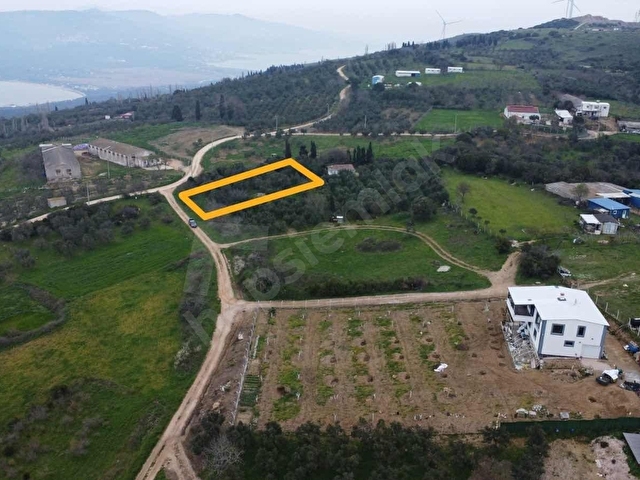 BANDIRMA EDİNCİK MÜSTAKİL EV YAPIMINA UYGUN BAĞ - Görsel 13