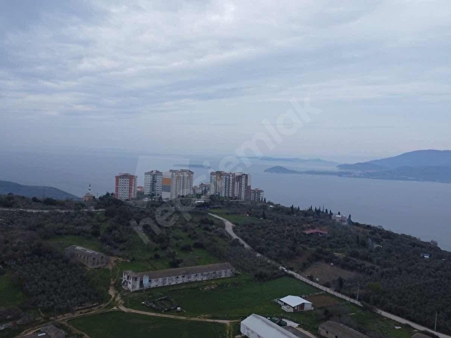 BANDIRMA EDİNCİK MÜSTAKİL EV YAPIMINA UYGUN BAĞ - Görsel 8