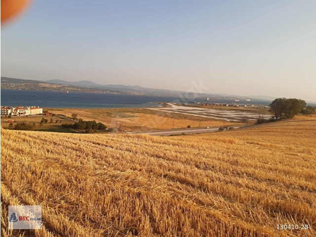 ÇANAKKALE GELİBOLU SÜTLÜCE BOĞAZ MANZARALI İMAR SINIRI TEK TAPU - Görsel 11