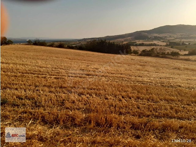 ÇANAKKALE GELİBOLU SÜTLÜCE BOĞAZ MANZARALI İMAR SINIRI TEK TAPU - Görsel 2