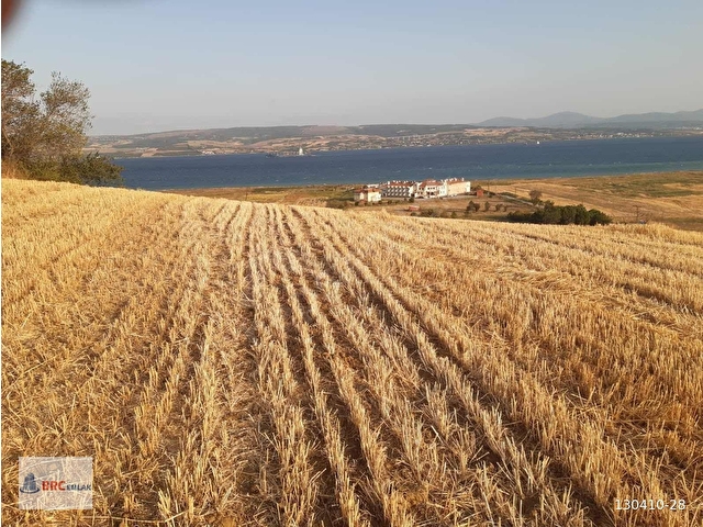 ÇANAKKALE GELİBOLU SÜTLÜCE BOĞAZ MANZARALI İMAR SINIRI TEK TAPU - Görsel 12