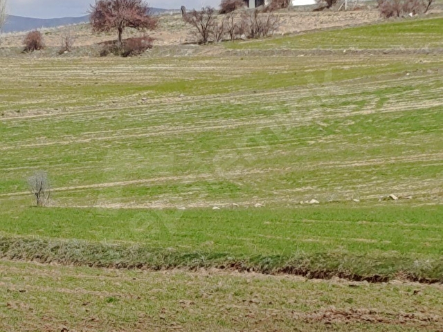 TALAS MENGÜCEK MAH. YATIRIMLIK 5077M2 SATILIK TARLA - Görsel 5