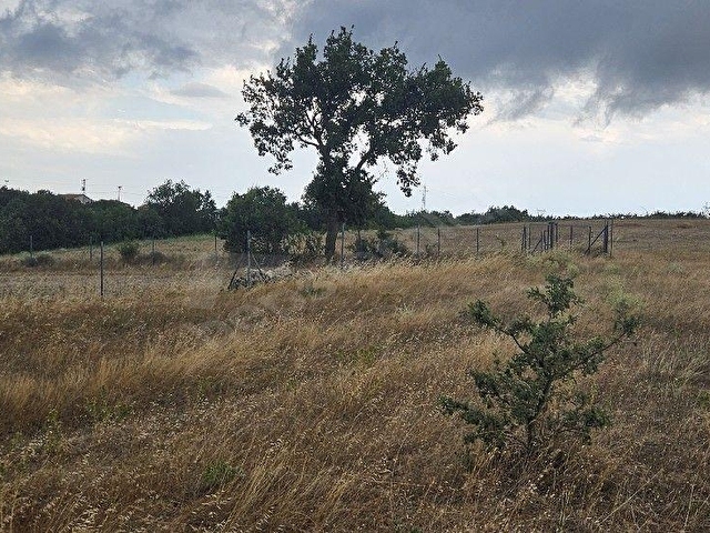 HAMİTABATTA 347 m2 SATILIK ARSA - Görsel 4