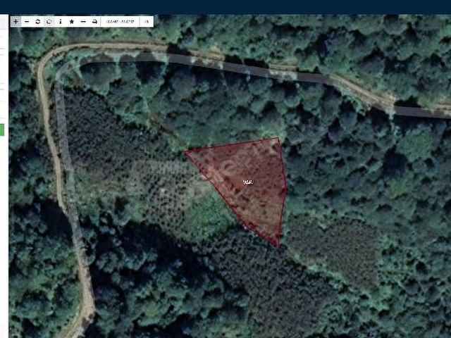 ziraat bankasi ndan deregozu koyu nde 2443 37 m alanli findik bahcesi