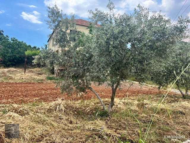 SATILIK YATAĞAN / KOZAĞAÇ MAH. 1500 M2 ARSA İÇİNDE MÜSTAKİL EV - Görsel 12