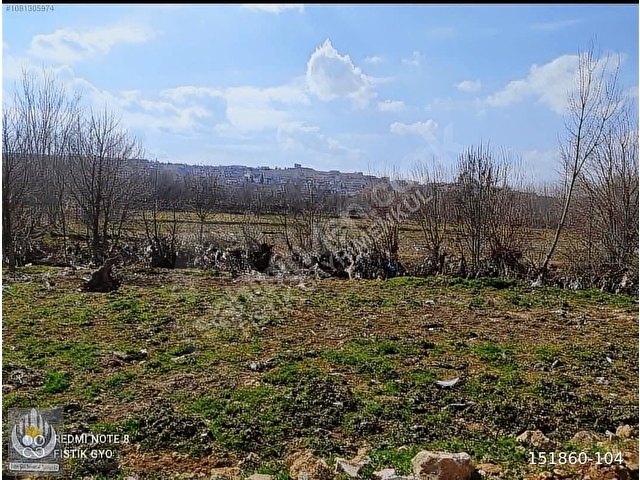 ŞAHİNBEY/KURTULUŞ KÖYÜNDE YATIMLIK TARLA - Görsel 9