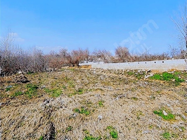 ŞAHİNBEY/KURTULUŞ KÖYÜNDE YATIMLIK TARLA - Görsel 11