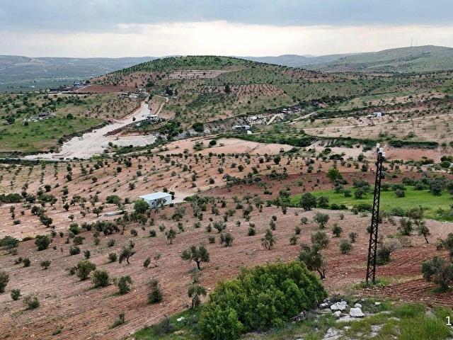 EV CENTERDAN HARİKA KONUMDA SATILIK FISTIK VE ZEYTİN BAHÇESİ