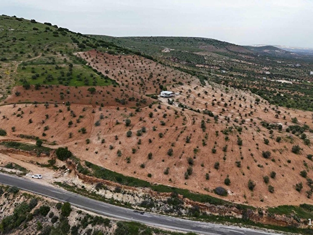 EV CENTERDAN HARİKA KONUMDA SATILIK FISTIK VE ZEYTİN BAHÇESİ - Görsel 18