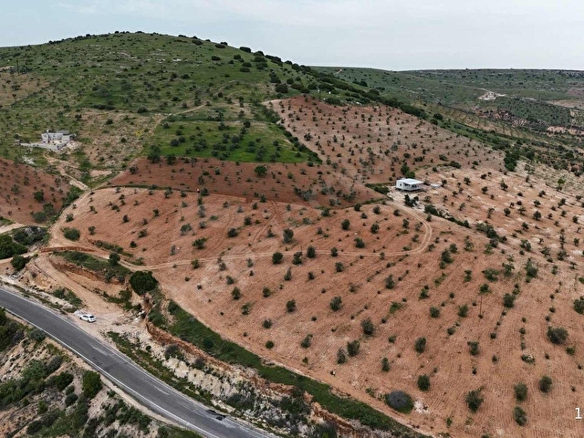 EV CENTERDAN HARİKA KONUMDA SATILIK FISTIK VE ZEYTİN BAHÇESİ - Görsel 19