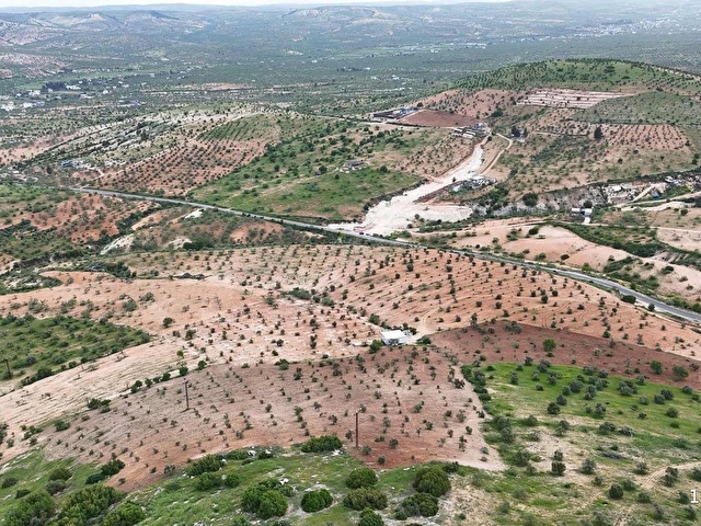 EV CENTERDAN HARİKA KONUMDA SATILIK FISTIK VE ZEYTİN BAHÇESİ - Görsel 3
