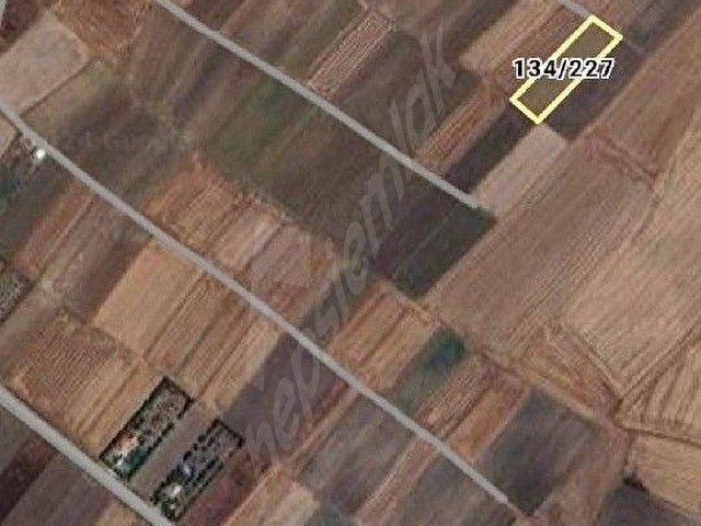 SARAY GÖÇERLER MAHALLESİ’NDE SATILIK BAĞYERİ - 3.118 m² - Görsel 2