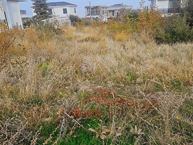 AYŞAHTAN BAŞKARCIDA HARİKA KONUMDA SATILIK 624M2 VİLLALIK ARSA - Görsel 4