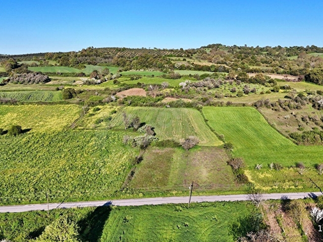 Lapseki Gürecide Satılık Tarla 5.253 m² Asfalt Yanı - Görsel 11