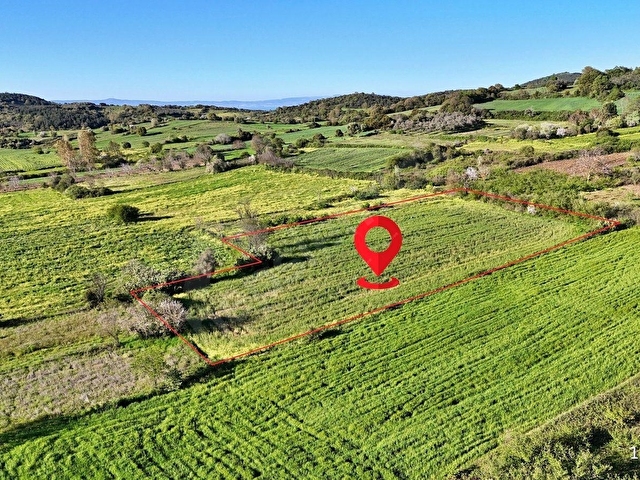 Lapseki Gürecide Satılık Tarla 5.253 m² Asfalt Yanı - Görsel 2