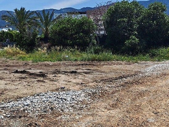 BSMDEN KIBRISTA SATILIK DAİRE VE VİLLALAR - Görsel 5