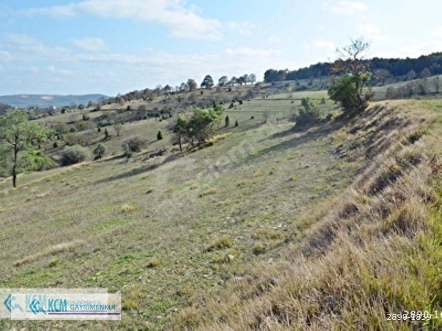 GEBZE DURAKLIDA 6.500M² SATILIK % 5 İMARLI ARSA - Görsel 16