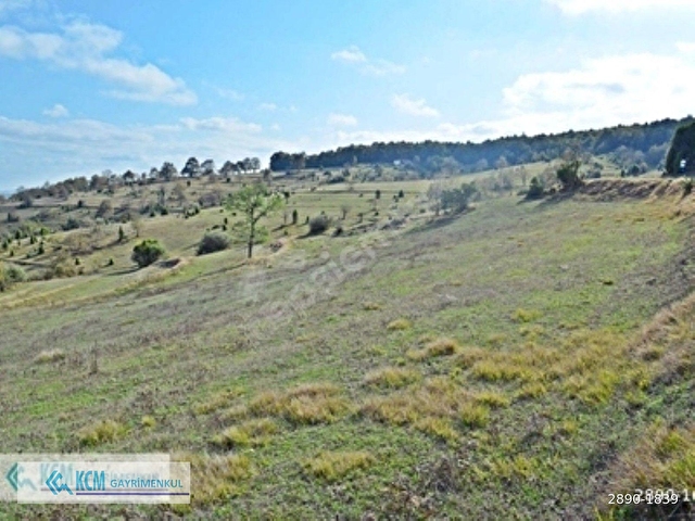 GEBZE DURAKLIDA 6.500M² SATILIK % 5 İMARLI ARSA - Görsel 19