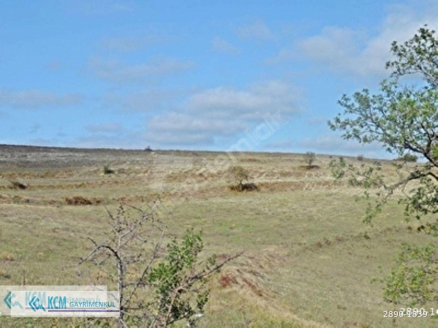 GEBZE DURAKLIDA 6.500M² SATILIK % 5 İMARLI ARSA - Görsel 24