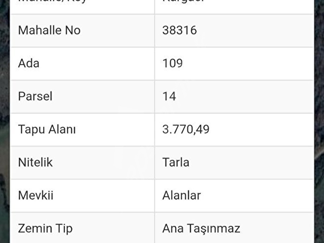 YENİCE KARGACI SATILIK DOĞA MANZARALI YATIRIMLIK TARLA - Görsel 4