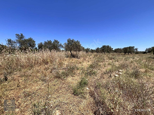 EZİNE PAZARKÖYDE RESMİ YOLA CEPHELİ 6.700m2 DÜM DÜZ TARLA - Görsel 11