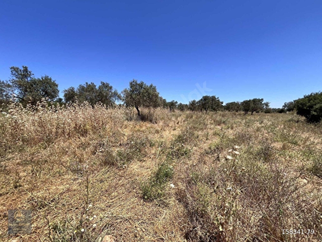 EZİNE PAZARKÖYDE RESMİ YOLA CEPHELİ 6.700m2 DÜM DÜZ TARLA - Görsel 12