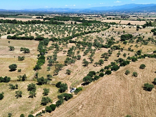 EZİNE PAZARKÖYDE RESMİ YOLA CEPHELİ 6.700m2 DÜM DÜZ TARLA - Görsel 7