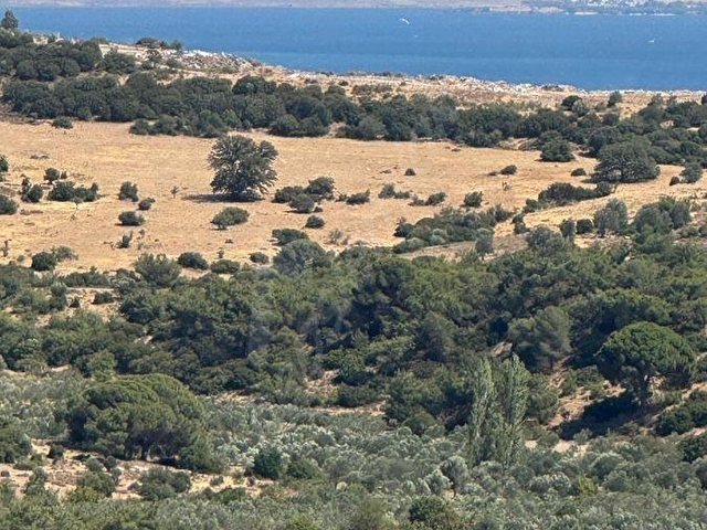 TURPA FOÇA MAVİ DEN ÇANDARLIDA SATILIK TRİPLEKS - Görsel 20