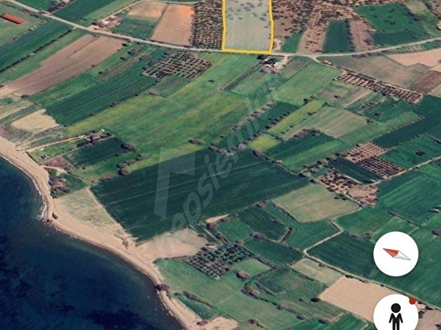 Ayvacık Kösedere Sahil Aksında Projeye Uygun 17,2 Dönüm Zeytinli - Görsel 10