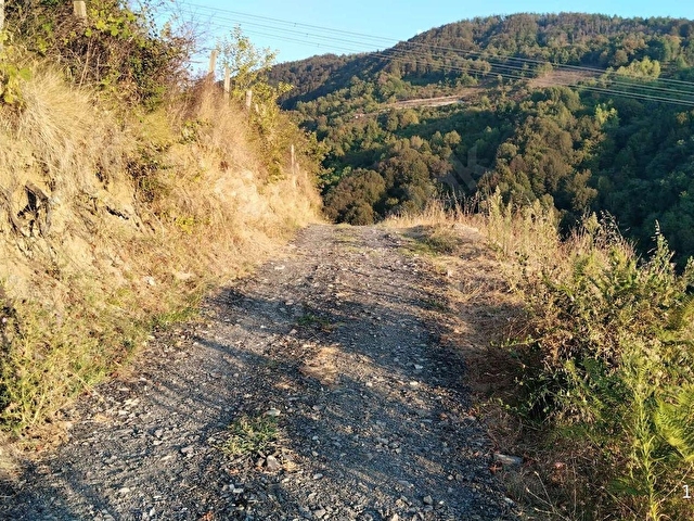 Kozlu Uzun Güney Köyünde Fındık Ve Meyve Bahçesi - Görsel 2
