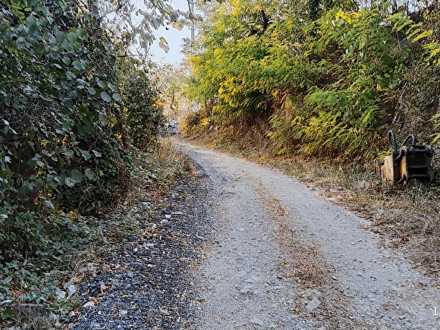 Kozlu Uzun Güney Köyünde Fındık Ve Meyve Bahçesi