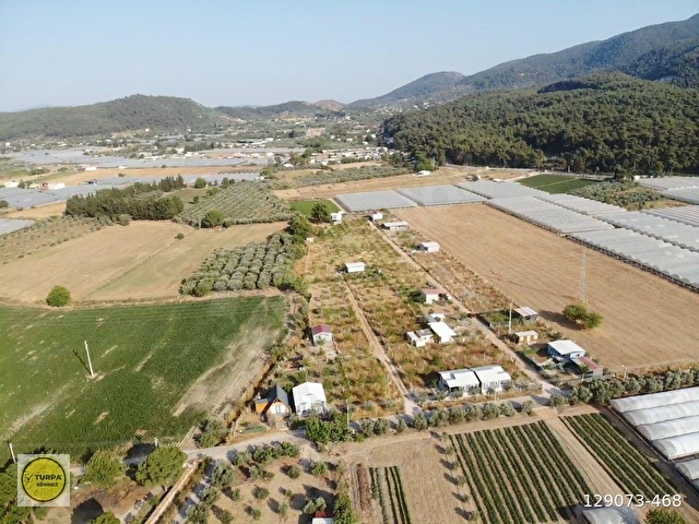 FIRSAT... ACİLLL... DEĞİRMENDEREDE 240M2 BAHÇE İÇİNDE EVİ OLAN ELEKTRİK VE SUYU AKTİF SATILIK BAHÇ - Görsel 8
