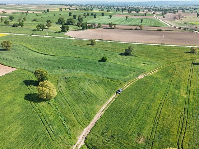 Kırklareli Kızılcılderede Satılık 1.962 m² Müstakil Tapu Tarla - Görsel 17