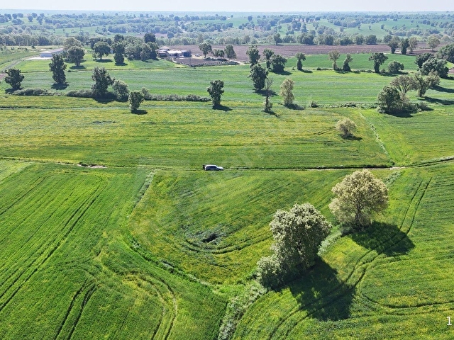 Kırklareli Kızılcılderede Satılık 1.962 m² Müstakil Tapu Tarla - Görsel 8
