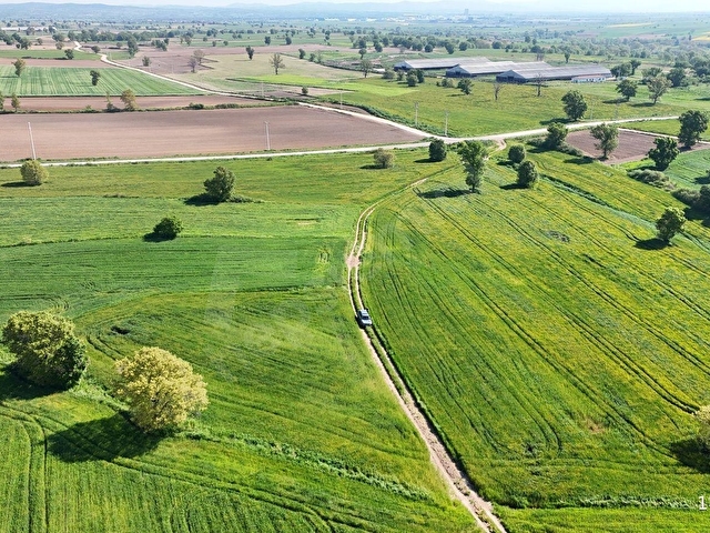 Kırklareli Kızılcılderede Satılık 1.962 m² Müstakil Tapu Tarla - Görsel 15