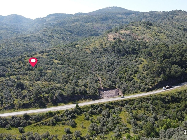 Yeni Yapılacak Milas-Ören Ana Yoluna Sıfır Satılık Arazi... - Görsel 3