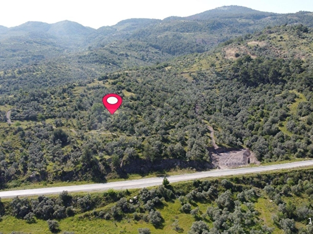 Yeni Yapılacak Milas-Ören Ana Yoluna Sıfır Satılık Arazi... - Görsel 2