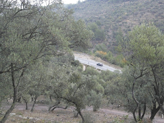 Yeni Yapılacak Milas-Ören Ana Yoluna Sıfır Satılık Arazi... - Görsel 8
