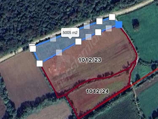 REMAX DESİGN KAYNARCA İŞARET MAHALLESİ 6856 M2 SATILIK TARLA - Görsel 8